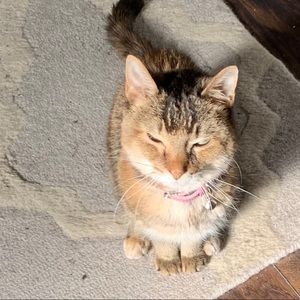 Meet your Posher, Teriana